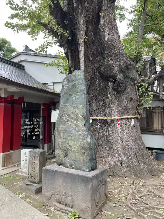 品川寺(東京都)