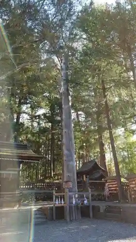 諏訪大社下社秋宮の自然