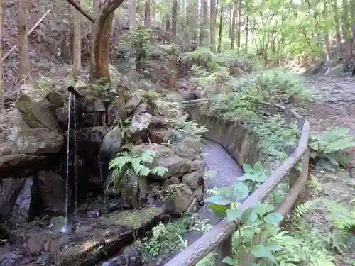 名草厳島神社の自然