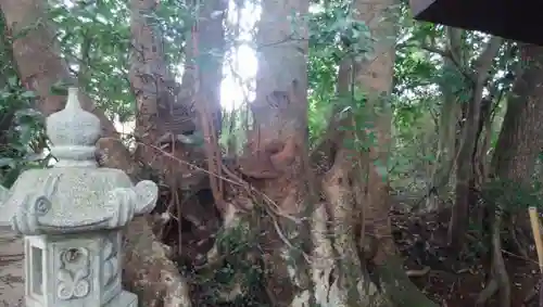 大宮神社のその他建物