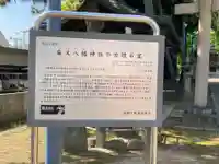 柴又八幡神社(東京都)