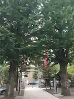 北海道神宮頓宮の鳥居