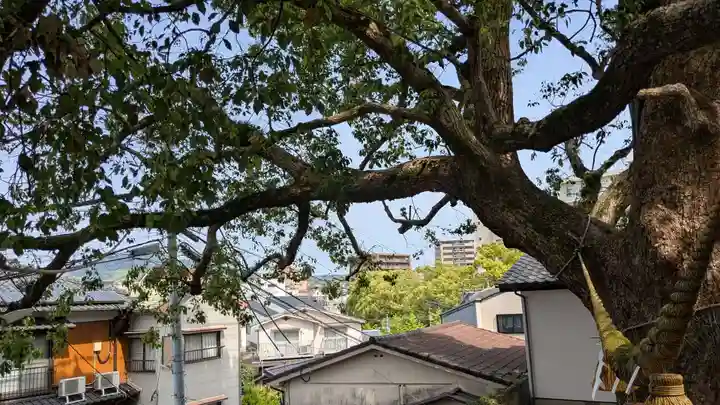 山王神社の自然