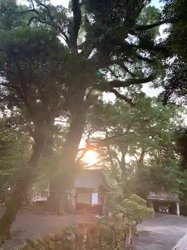 鹿児島神宮の自然