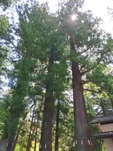 河口浅間神社(山梨県)
