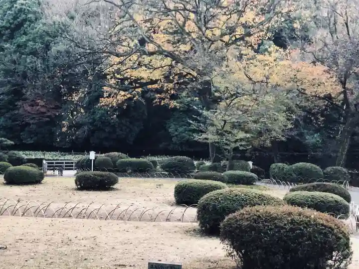 明治神宮(東京都)