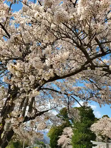 高司神社〜むすびの神の鎮まる社〜の自然