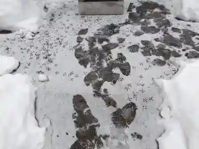 旭川銀座弁天神社の庭園