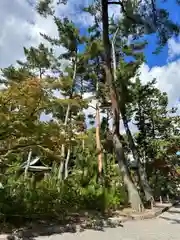 今宮神社(京都府)