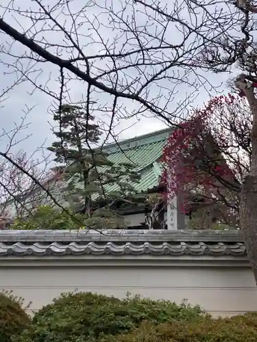 薬師院(神奈川県)