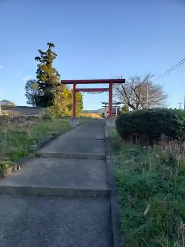 氷川神社の鳥居