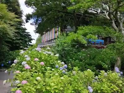  智積院(京都府)