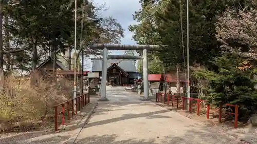 上富良野神社の鳥居