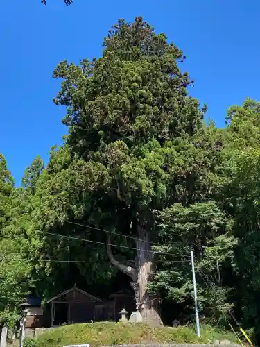 配志和神社(岩手県)