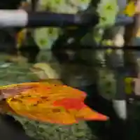 高司神社〜むすびの神の鎮まる社〜の授与品その他