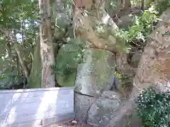 芝神社の建物その他