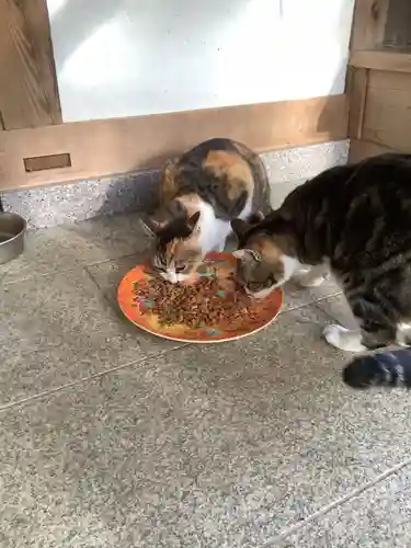 玉野御嶽神社の動物