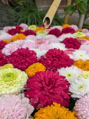 心行寺(東京都)