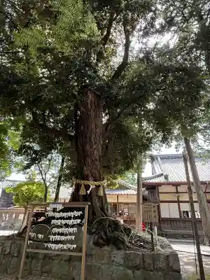豊川進雄神社(愛知県)