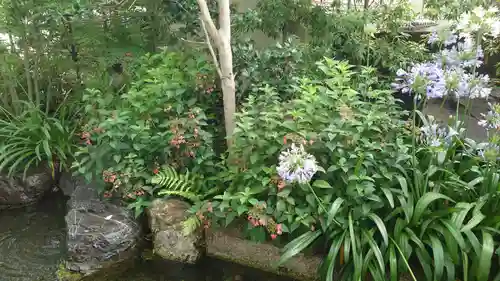 藤森神社(京都府)