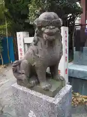 白髭神社の狛犬