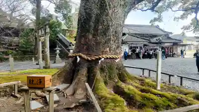 事任八幡宮(静岡県)