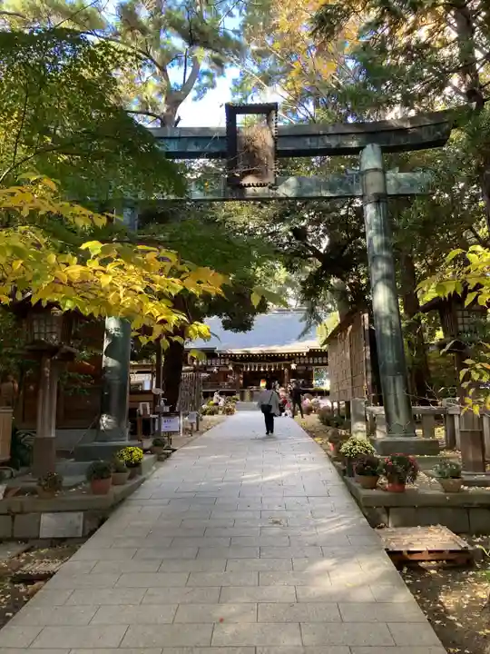 平塚八幡宮(神奈川県)