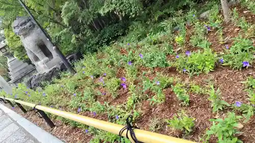 晴明神社(京都府)