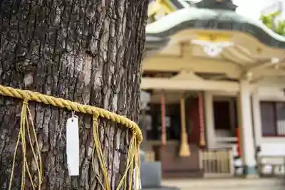 荻窪白山神社のその他建物