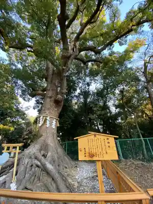 和泉國一之宮　大鳥大社のその他建物