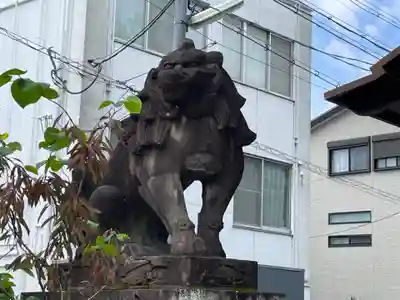 安井金比羅宮の狛犬