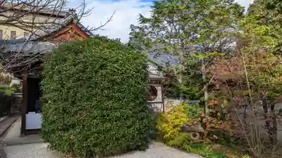 慈受院門跡(京都府)