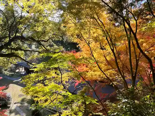 弘川寺(大阪府)