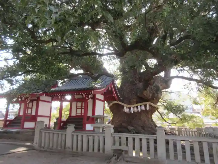 善通寺(香川県)