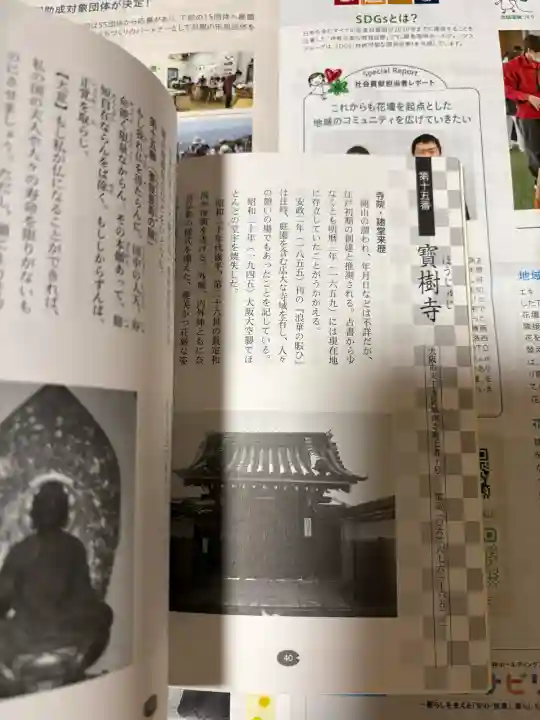 寳樹寺の{uncategorized: "未分類", other: "その他", undefined: "問題あり", building: "その他建物", grave: "お墓", sacred_gate: "鳥居", guardian: "狛犬", statue: "像", buddha: "仏像", history: "歴史", nature: "自然", garden: "庭園", animal: "動物", pagoda: "塔", temizu: "手水舎", mountain_gate: "山門・神門", sanctuary: "本殿・本堂", subordinate: "末社・摂社", art: "芸術", scenery: "景色", jizo: "地蔵", ema: "絵馬", goshuin: "御朱印", omikuji: "おみくじ", items: "授与品その他", amulet: "お守り", goshuincho: "御朱印帳", eats: "食事", festival: "お祭り", votive_dance: "神楽", shichigosan: "七五三参", wedding: "結婚式", experience: "体験その他", initially: "初詣", around: "周辺", anti_infection: "感染症対策"}