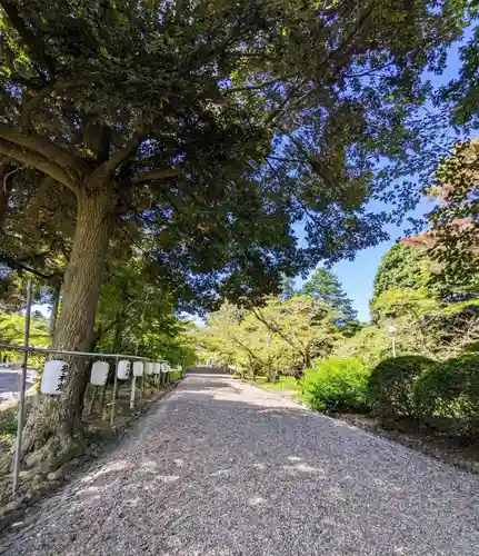 茨城縣護國神社(茨城県)