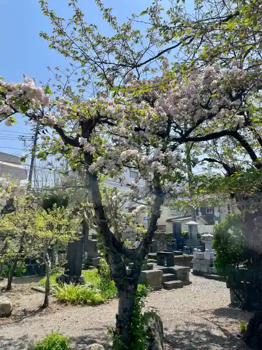 蓮華寺(福島県)