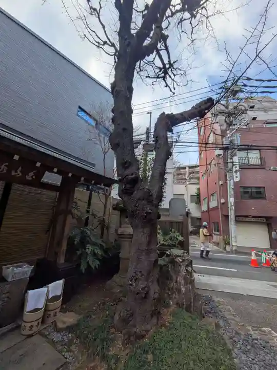 宗慶寺(東京都)