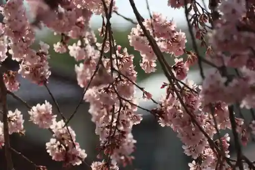 長興寺の庭園