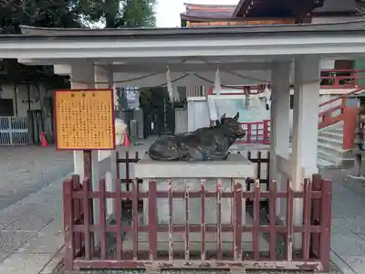 亀戸天神社(東京都)