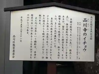 品川寺(東京都)