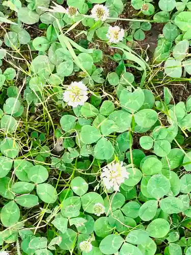十五社神社(茨城県)