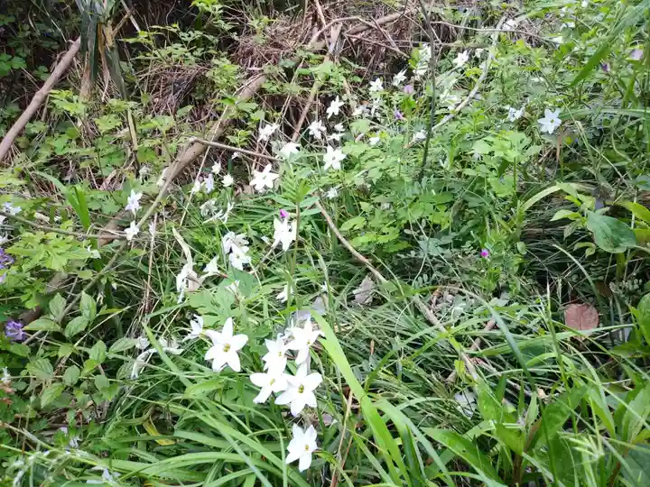 愛宕神社の自然