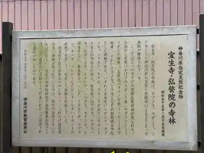 宝生寺(神奈川県)