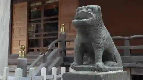 杉田八幡神社（杉田八幡宮）の狛犬