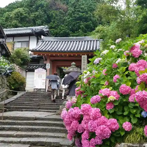 矢田寺の山門