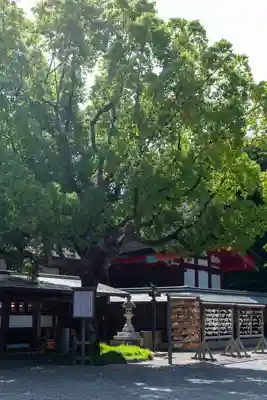 宗像大社(福岡県)