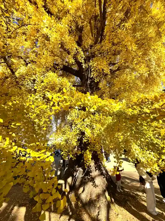 丹生酒殿神社(和歌山県)