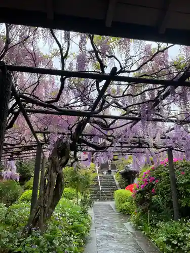 子安地蔵寺の庭園