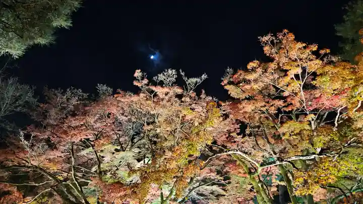 宝厳院(京都府)